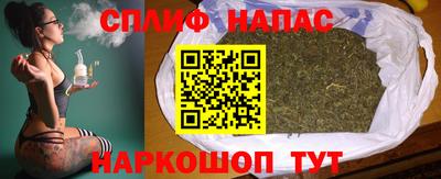 крисы Будённовск