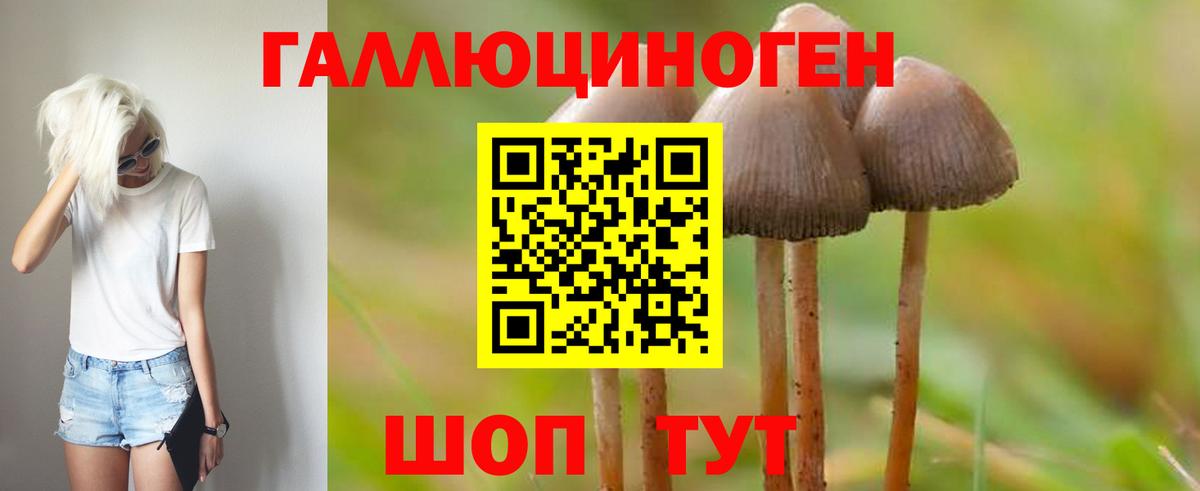 Галлюциногенные грибы Psilocybine cubensis Моздок